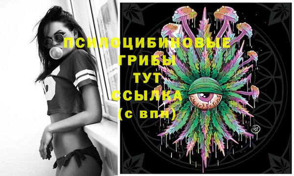 кокс Алзамай