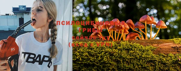 сатива Абдулино