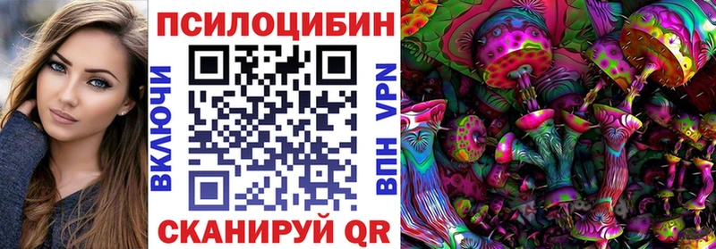 Псилоцибиновые грибы Cubensis  купить закладку  Новосиль 