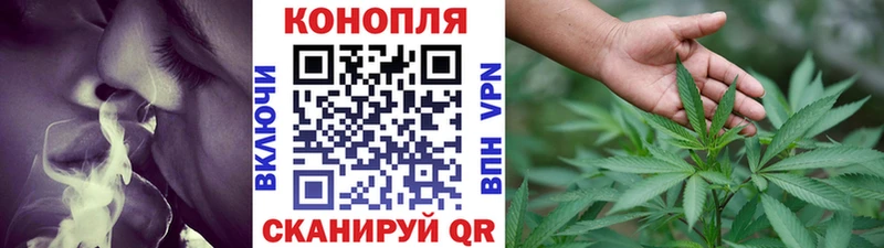 Конопля семена  omg маркетплейс  Новосиль 